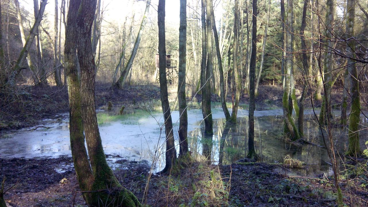 Landhaus Kranichwiese Goehren-Lebbin Luaran gambar